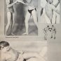 [dead stock] CHICO HOMBRE'S COMPANION (1967) Physique Photos Posing Beefcake Nudes Male Vintage