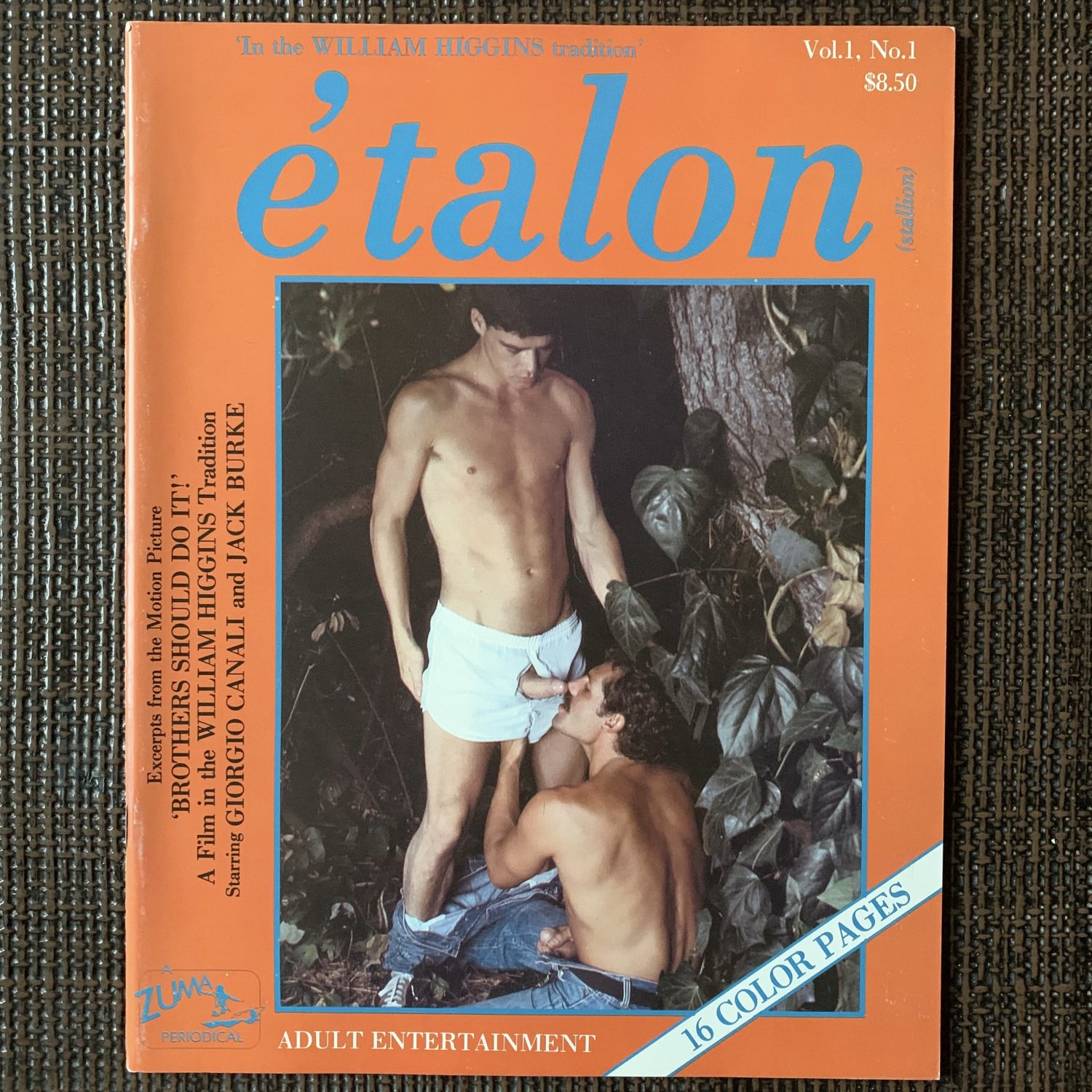 Chicken Boy Porn Magazine - E'TALON #1 1981 â€œBROTHERS SHOULD DO ITâ€ WILLIAM HIGGINS Gay Porn Adult  Magazine Chicken