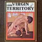 [dead stock] VIRGIN TERRITORY (1970s) Gay Big Young Hard Jocks Photos Male Nudes Magazine Chicken