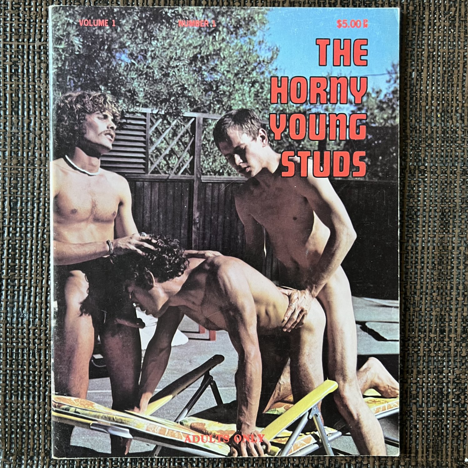 THE YOUNG HORNY STUDS (1975) Gay PULP PICTORIAL Vintage Artistic Photos Magazine Nudes