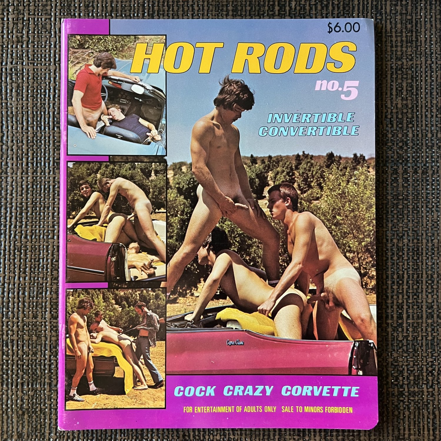[dead stock] HOT RODS #5 (1980) NOVA Pulp NEBULA Gay AUTO SEX Vintage Mag Male Nudes Photos Chicken