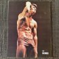 THE VIKINGS #4 (1967) Young Physique Photography Chicken Posing Strap Beefcake Vintage Nudes Male