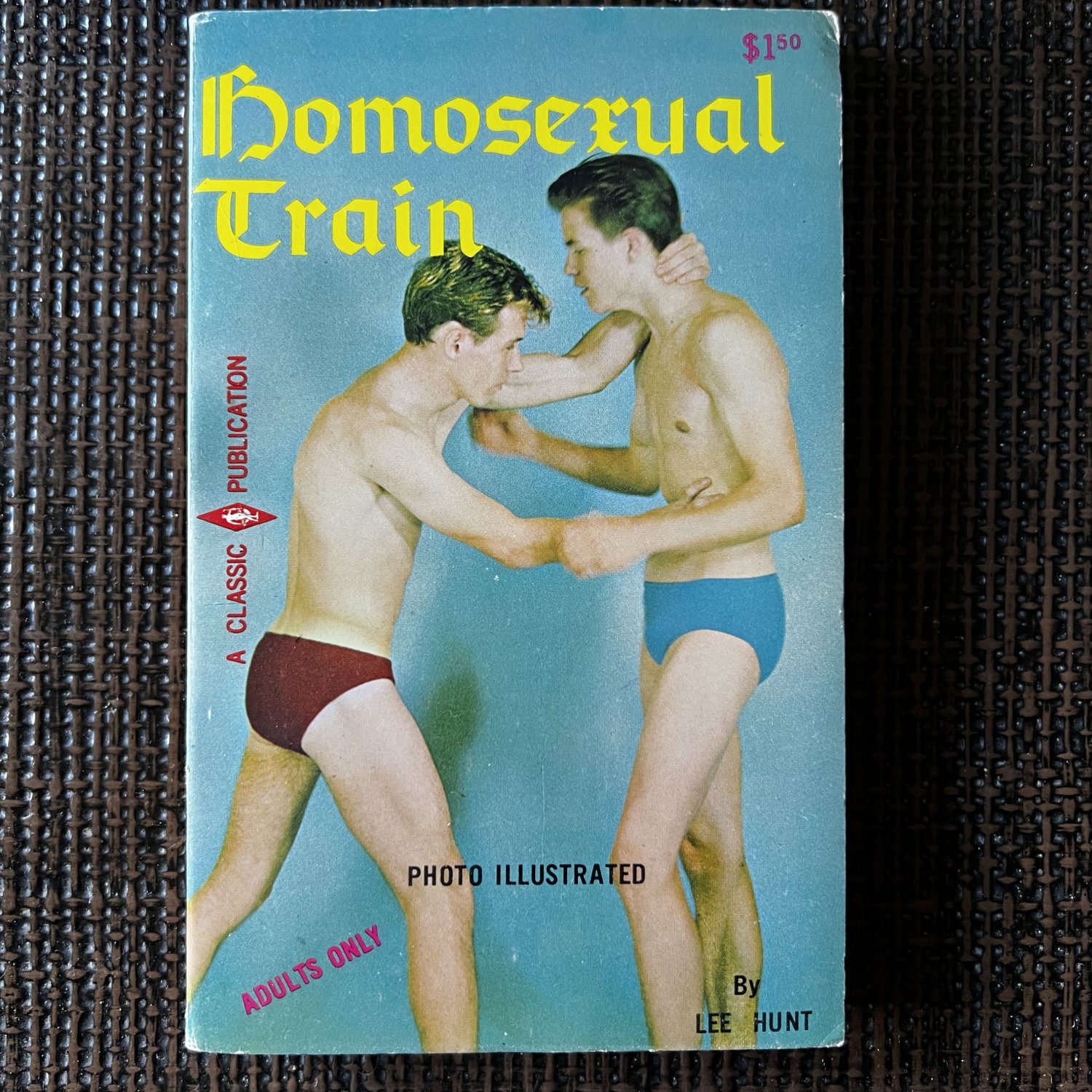 HOMOSEXUAL TRAIN (1968) CP 202 Male Nudes FIGURE FULLY ILLUSTRATED Gay Pulp ART Drawings Teen