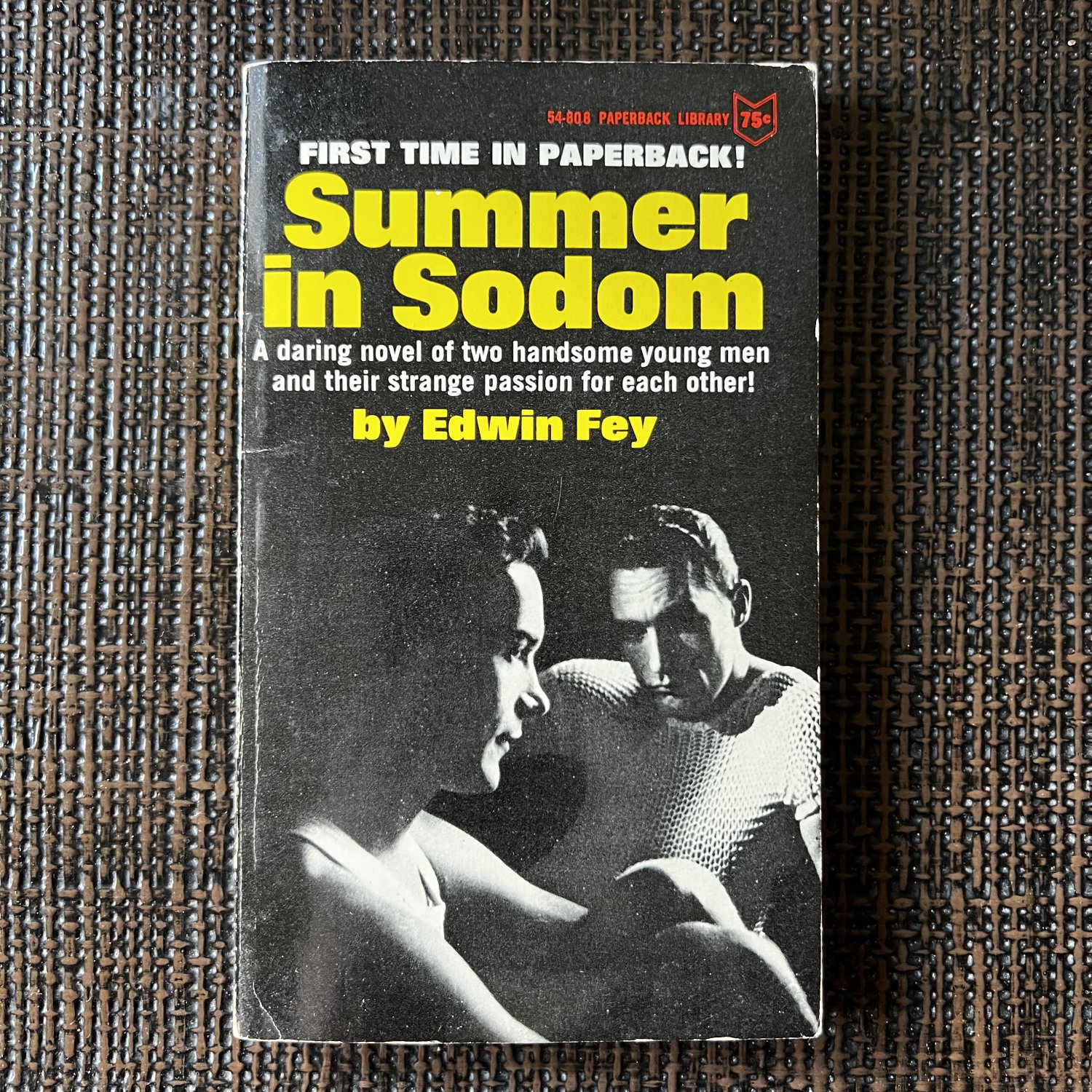 SUMMER IN SODOM (1964) EDWIN FEY Novel PB HOMOSEXUAL Gay Pulp Library Paperback
