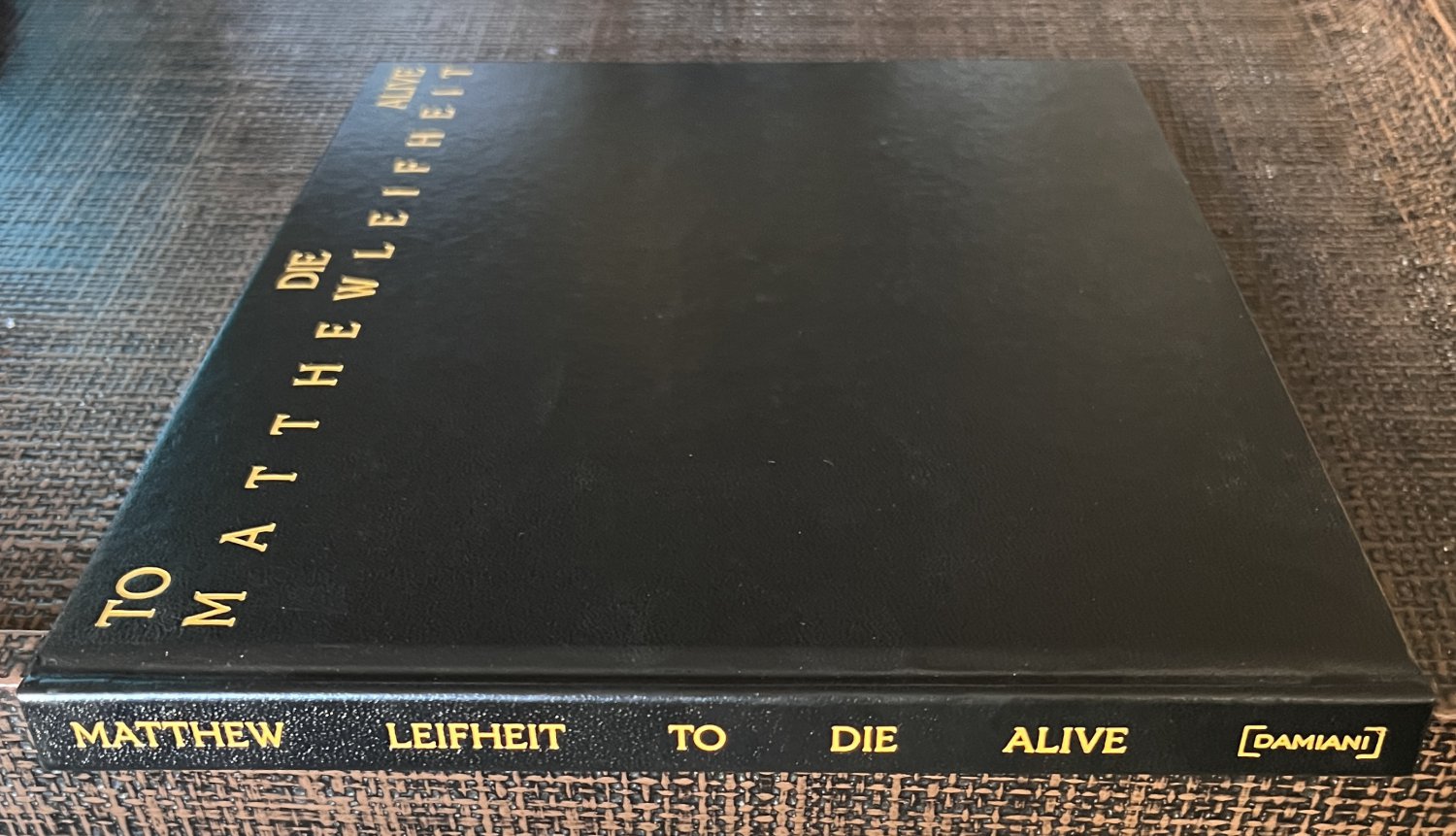 TO DIE ALIVE (2022) MATTHEW LEIFHEIT Gay Fire Island Male NUDES Photography Queer Erotic Photos