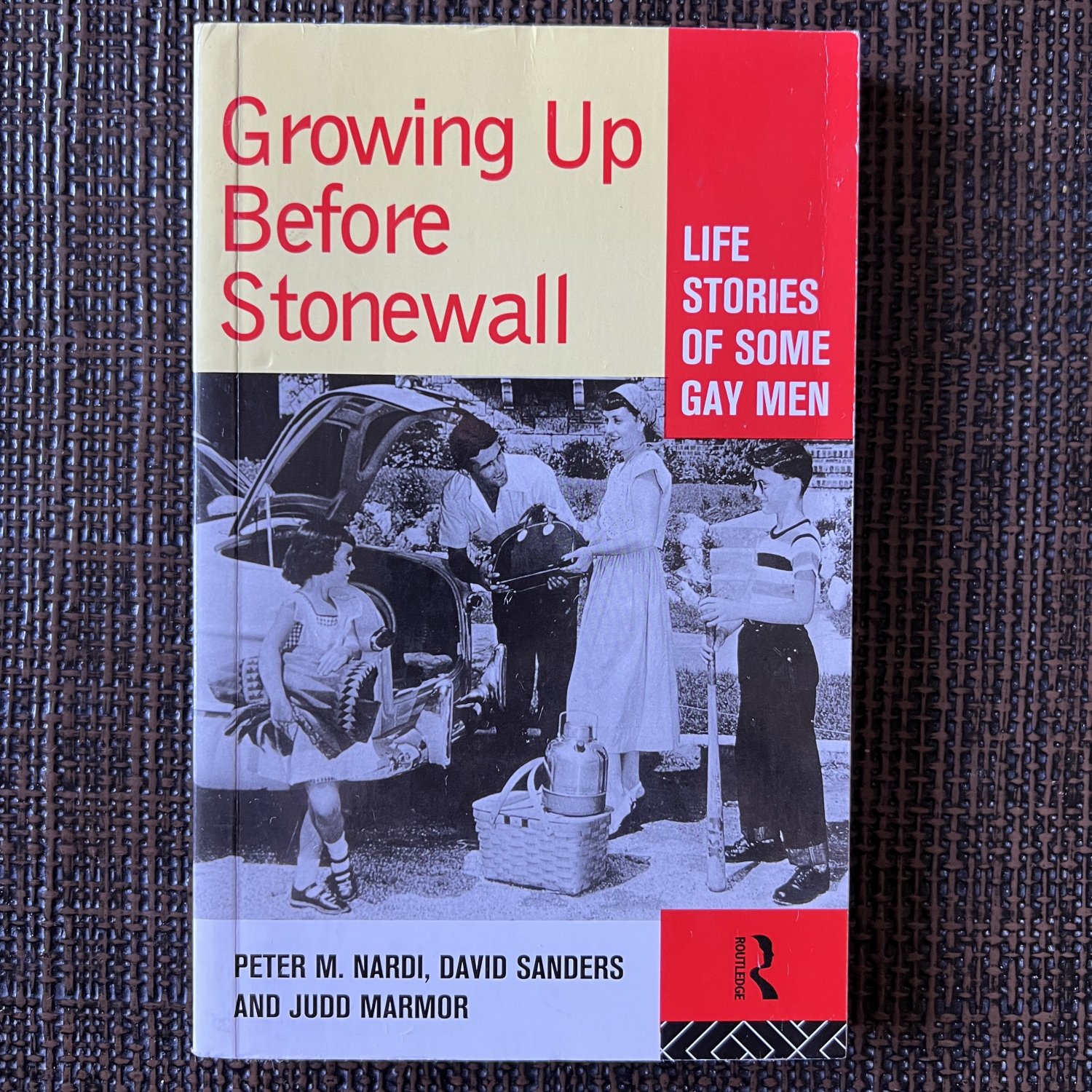 Growing Up Before Stonewall (1994) Peter Nardi Novel PB Queer Gay Pulp Erotica Sleaze