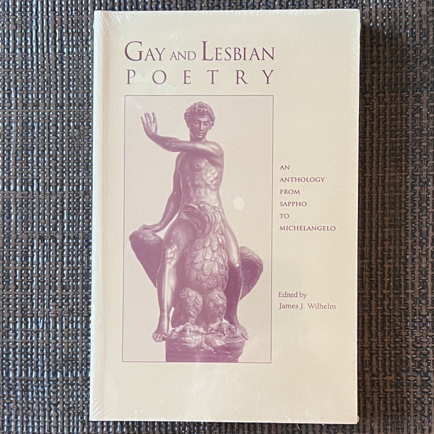 GAY & LESBIAN POETRY (1995) AUTHOR Novel PB Queer Gay Romance Erotica Sappho