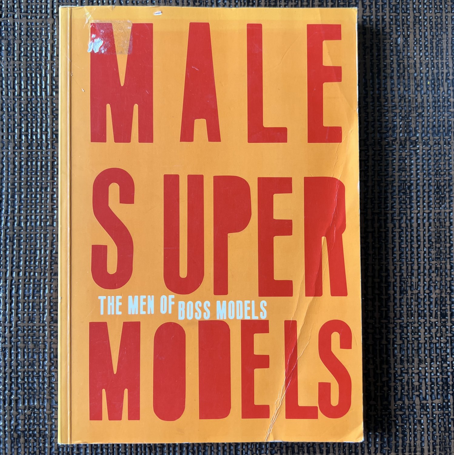 MALE SUPER MODELS MEN OF BOSS MODELS (1996) Brewer Twins PB Male Semi-Nudes Gay Muscle Beefcake