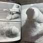 [dead stock] UP-CLOSE #2 (1969) PRESS ARTS Gay UNCUT Cock Penis Hairy Pits Vintage Male Nudes