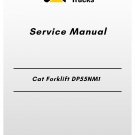 Cat Forklift DP55NM1 Service Manual