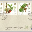 Singapore Native Gingers 2018 - Singapore First Day Cover Stamps