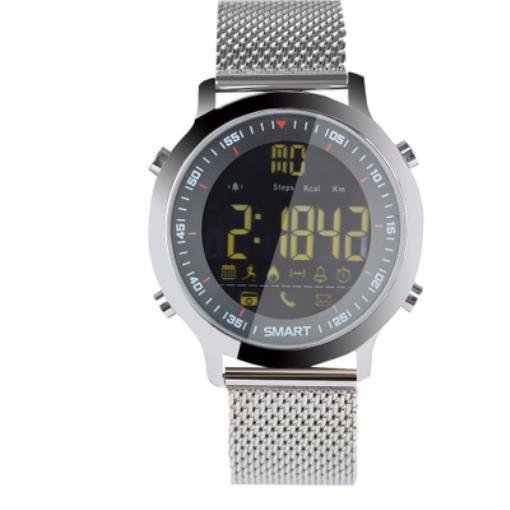 Waterproof smart watch