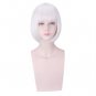 Cosplay wig silver grey