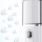 Portable Facial Nano Mist Humidifier