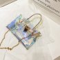 Transparent beach platinum bag