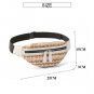 Straw Belt Bag Beach Belt Chest Bag