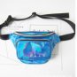 Shining Bum Bags - Five Colours
