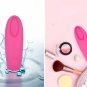 Facial massage instrument