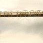 Sitar Ravishankar Style
