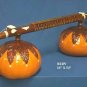 Rudra Veena