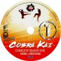 COBRA KAI SEASON 1 BLU-RAY /REGION FREE / WORLDWIDE SHIP