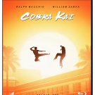 COBRA KAI SEASON 1 BLU-RAY /REGION FREE / WORLDWIDE SHIP