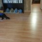 LOG CABIN VACATION RENTAL TEHACHAPI CA FOR PET LOVERS & PCT HIKERS!