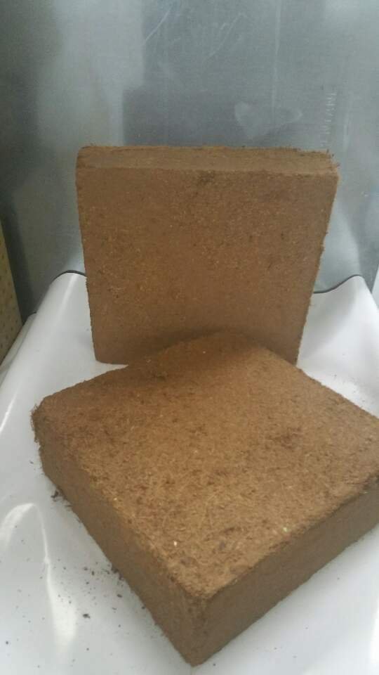 No shipping / Coco peat block /  10 lb. $ 10.00 / Local Pick-up Only