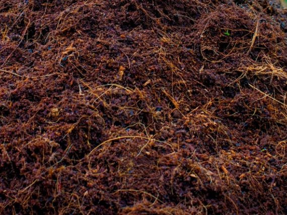 Coco Peat  Fiber Natural Hydroponic Organic Soil Plant Growing Media 1 pound