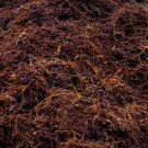 Coco Peat  Fiber Natural Hydroponic Organic Soil Plant Growing Media 1 pound