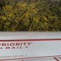 Mistletoe over 3 lbs. Cut & Dried from Tehachapi Mt. CA /