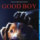 Good Boy 2025 bluray