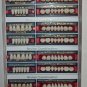 BIOROCK Qualty Teeth Set for Acrylic & Flexible Denture 06 BOX (4 sets in a Box)