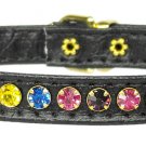 # 26 Black 10