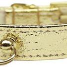 # 70 Dog Collar Gold Size 20