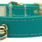 # 70 Dog Collar Turquoise Size 20