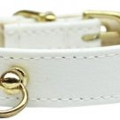 # 70 Dog Collar White Size 16