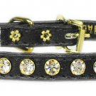 #10 Black 8
