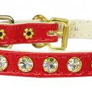 #10 Red 12