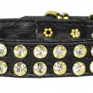 #31 Black 12