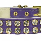 #31 Purple 14