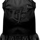 A Pirate's Life Embroidered Dog Dress Black Lg