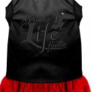 A Pirate's Life Embroidered Dog Dress Black with Red XL