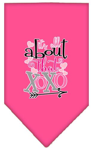All About that XOXO Screen Print Bandana Bright Pink Small