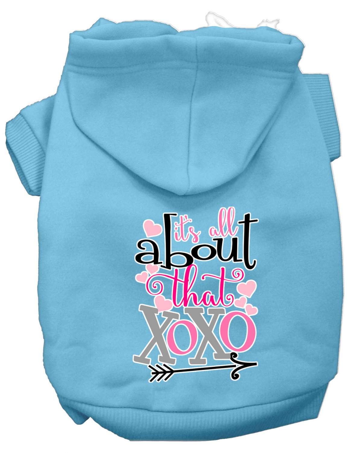 All About that XOXO Screen Print Dog Hoodie Baby Blue XXXL