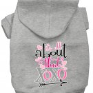 All About that XOXO Screen Print Dog Hoodie Grey XXXL