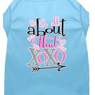 All about that XOXO Screen Print Dog Shirt Baby Blue XS