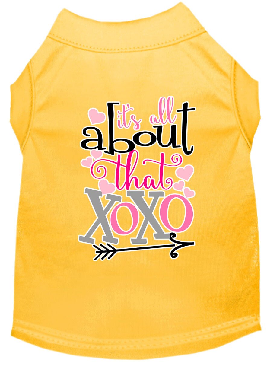 All about the XOXO Screen Print Dog Dress Baby Blue 4X