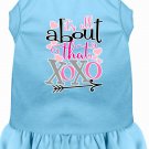 All about the XOXO Screen Print Dog Dress Baby Blue XXL