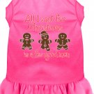 All I want is a Few Good Men Screen Print Dog Dress Bright Pink XXL